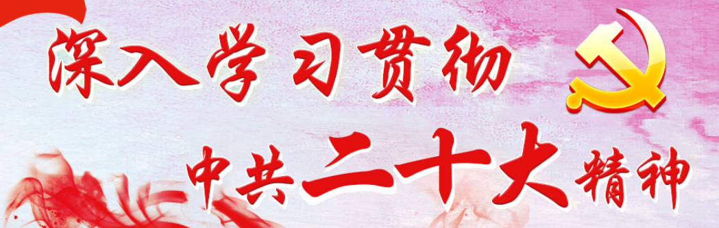 深入学习贯彻中共二十大精神