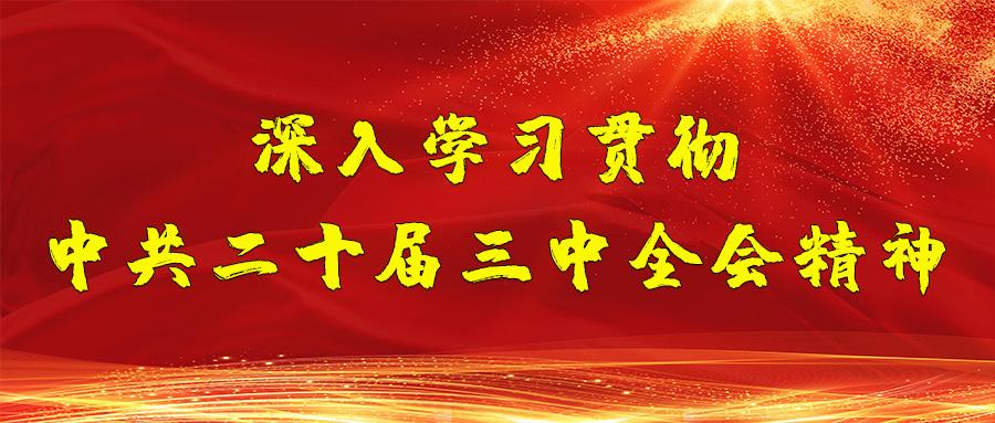 深入学习贯彻中共二十届三中全会精神